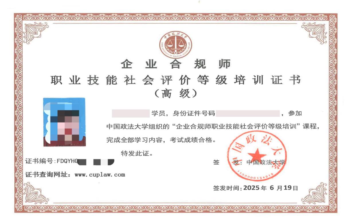 正确版本内芯 -打码版本